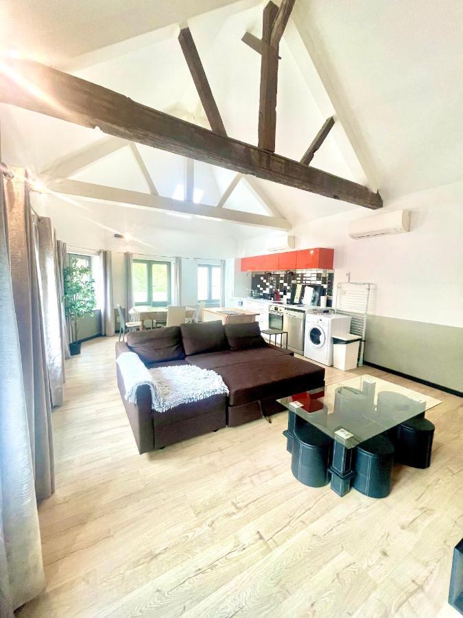 Appartements De Charme Dadou Mons Belgium Екстериор снимка