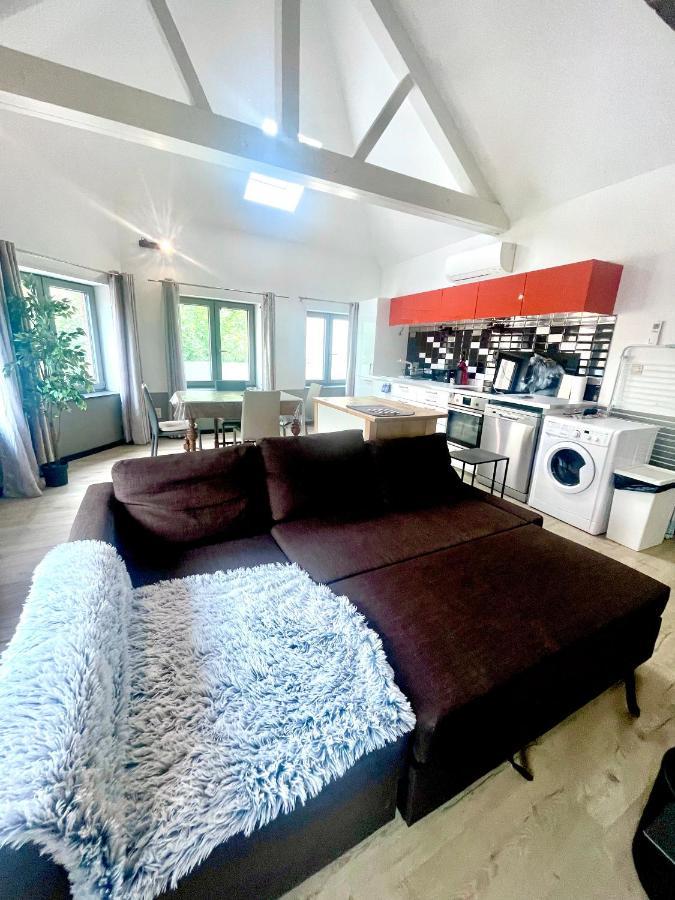 Appartements De Charme Dadou Mons Belgium Екстериор снимка